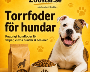 Torrfoder för Hundar 