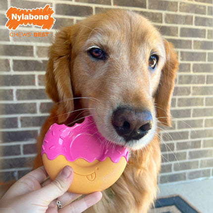 Nylabone Hundleksak Nylabone Rosa Bacon L