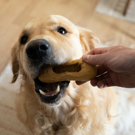 Nylabone Hundleksak Nylabone Brun Jordnötssmör M