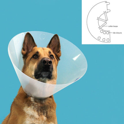 Kvp Elizabethan Hundhalsband Kvp Quick Fit Transparent (33-41 Cm)