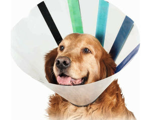 Kvp Elizabethan Hundhalsband Kvp Ez Clear (18-25 Cm)