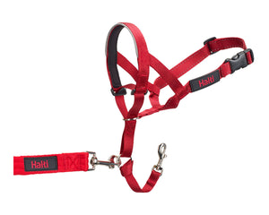 Company Of Animals Hund Utbildning Kragar Company Of Animals Halti Munkorg (31-40 Cm)