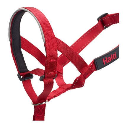 Company Of Animals Hund Utbildning Kragar Company Of Animals Halti Munkorg (31-40 Cm)