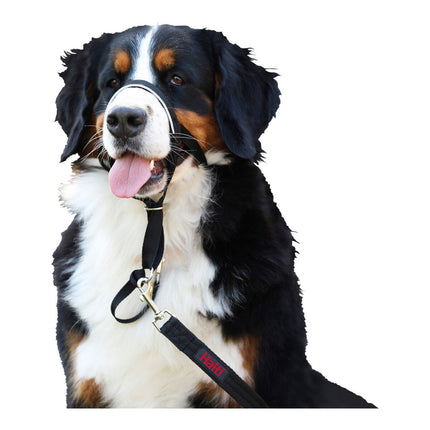 Company Of Animals Hund Utbildning Kragar Company Of Animals Halti Svart Munkorg (51-73 Cm)