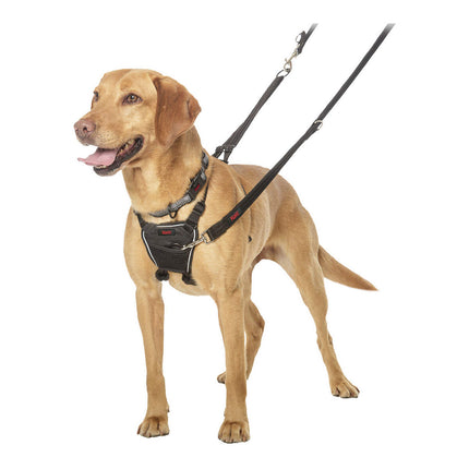 Company Of Animals Hundsele Company Of Animals Halti Storlek M (34-56 Cm)