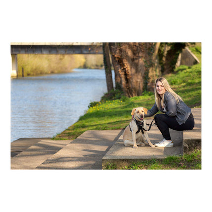 Company Of Animals Hundsele Company Of Animals Halti Storlek M (34-56 Cm)