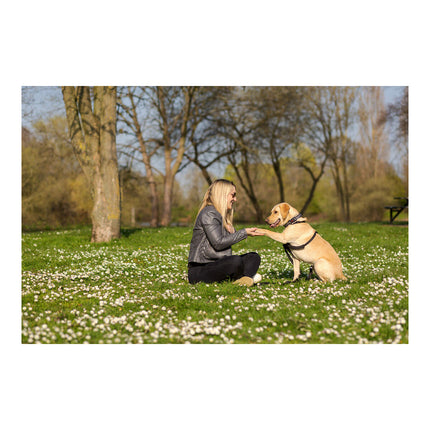Company Of Animals Hundsele Company Of Animals Halti Storlek M (34-56 Cm)