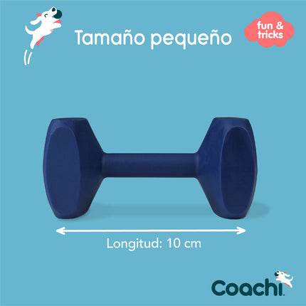 Coachi Hantel Coachi Training Dumbbell Blå
