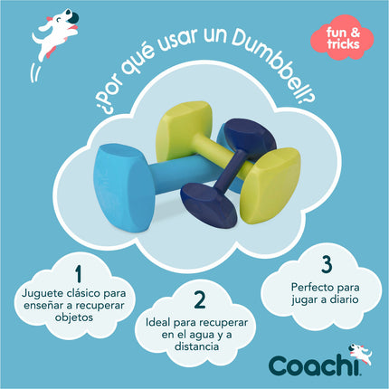 Coachi Hantel Coachi Training Dumbbell Blå L Plast