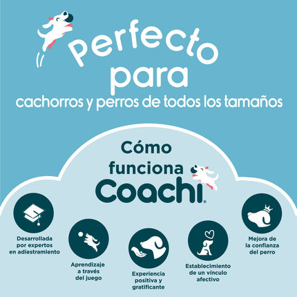 Coachi Training Toy Coachi