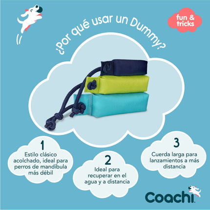 Coachi Training Toy Coachi