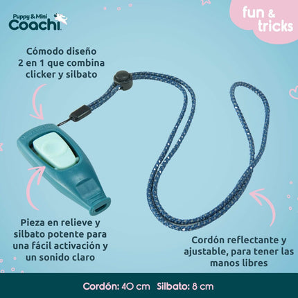 Coachi Hundsele Coachi