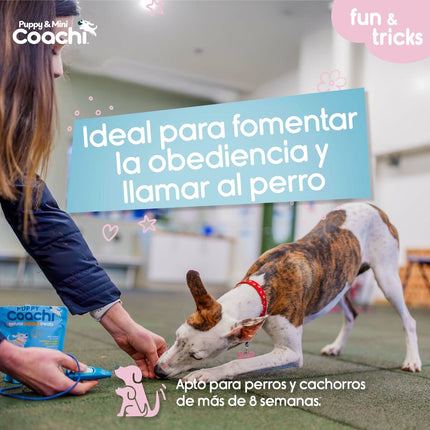 Coachi Hundsele Coachi