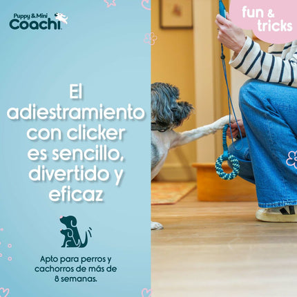 Coachi Hundsele Coachi