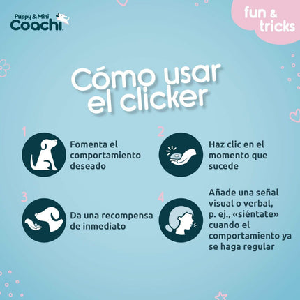 Coachi Hundsele Coachi