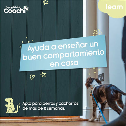 Coachi Hundsele Coachi