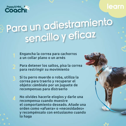 Coachi Hundsele Coachi
