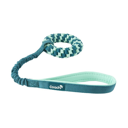 Coachi Hundsele Coachi