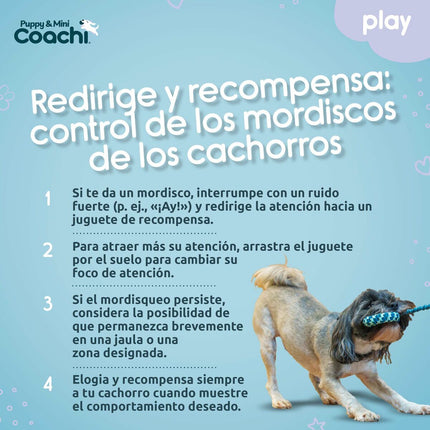 Coachi Hundsele Coachi