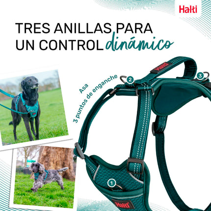 Company Of Animals Hundsele Company Of Animals Turkos S 28-42 Cm