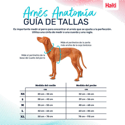 Company Of Animals Hundsele Company Of Animals Turkos S 28-42 Cm