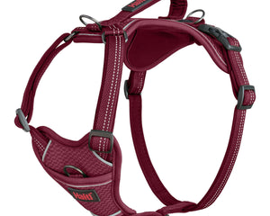 Company Of Animals Hundsele Company Of Animals Bordeaux Xs 20-32 Cm