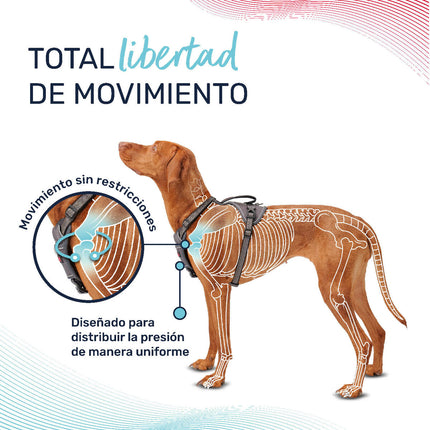 Company Of Animals Hundsele Company Of Animals Bordeaux L 42-65 Cm