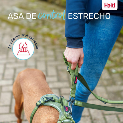 Company Of Animals Dohundkoppel Company Of Animals Turkos S