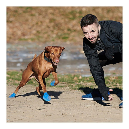 Pawz Skor Pawz Hund 12 Antal Storlek Xl Grön