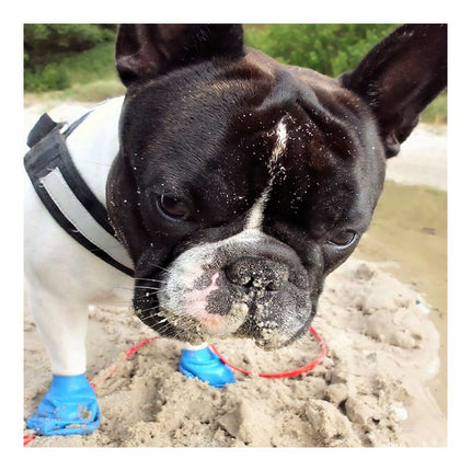 Pawz Skor Pawz Hund 12 Antal Storlek Xl Grön