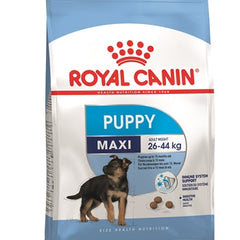 Royal Canin Königlicher Canin-Maxi-Welpe