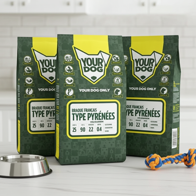 Yourdog Braque Français Type Pyrénées Vuxen
