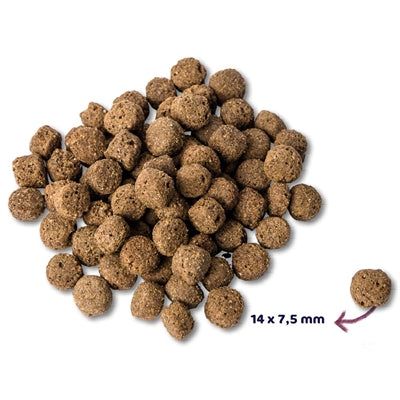 Renske Super Premium Ozeanfisch Für Erwachsene Hypoallergen