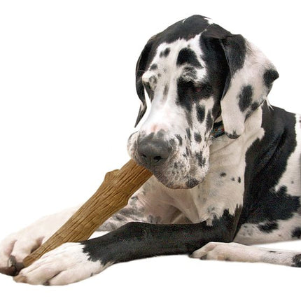 Petstages Dogwood Durable Stick