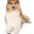 XL 20X10 CM (366028)