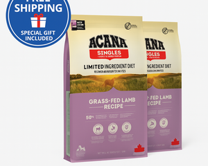 Collection image for: Billigt hundfoder