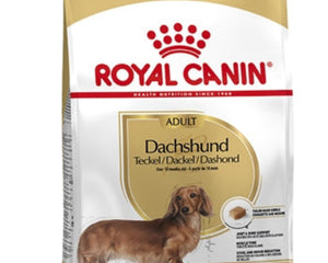 Royal Canin / Dackel Erwachsen