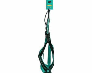 Olympia Hundsele Olympia M