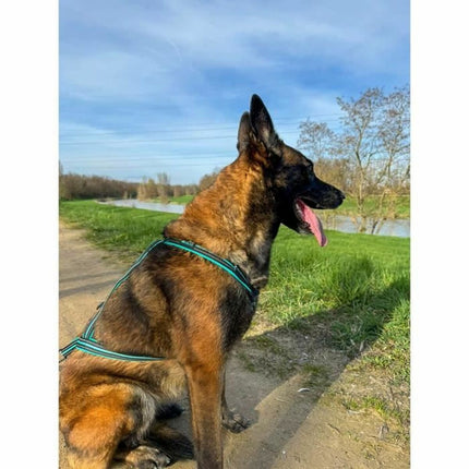 Olympia Hundsele Olympia M