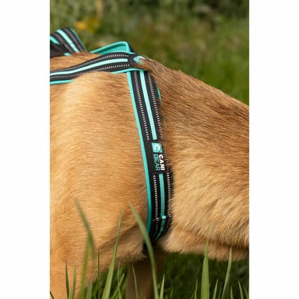 Olympia Hundsele Olympia M