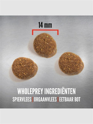 Orijen Ganze Beute Welpe Grosse Rasse