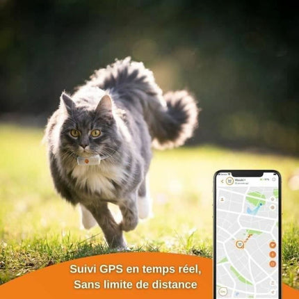 Weenect Anti-Förlust Lokaliserar Weenect Weenect Xs Gps Katt Vit