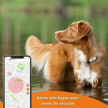Weenect Anti-Förlust Lokaliserar Weenect Weenect Xs Gps Vit