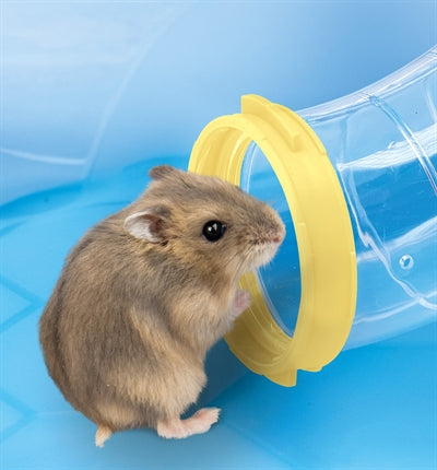 Imac Hamster-Käfig-Fantasie