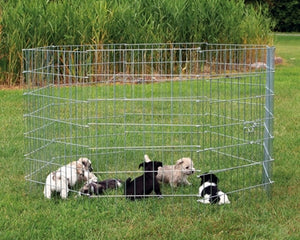 Trixie Natura Puppyren Verzinktes Metall 8 Tafeln