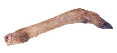 Petsnack Hirschkeule Mit Haar