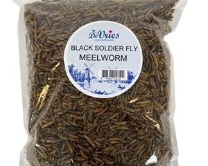 De Vries Schwarze Soldatenfliege