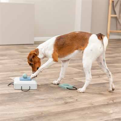 Trixie Hund Aktivitätsspielbox 15X15 Cm