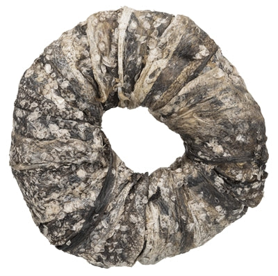 Trixie Denta Fun Kau-Ring Fisch 10 Cm 50 St