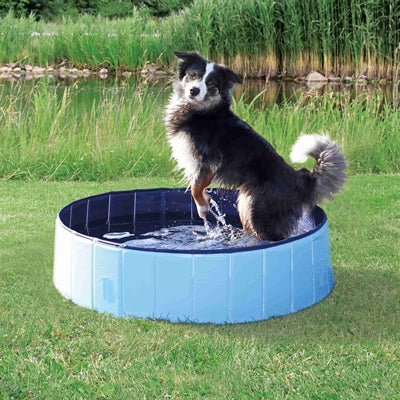 Trixie Överdrag För Hundpool Ljusblå